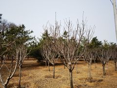 -青龙湖公园