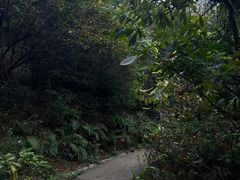 -广州市白云山风景名胜区