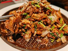 -秀儿四九城·新京菜(亚运村鸟巢店)