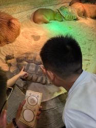 -Zoolung Zoolung动物主题公园(海信广场店)