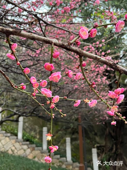 乌山风景区图片