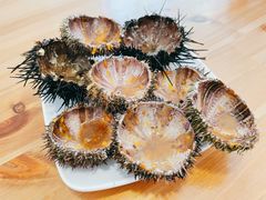 -海胆小馆(东北水饺·春柳店)