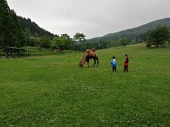 -武陵山森林公园