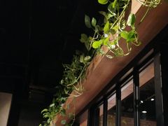 -权金城·炭火烤肉(北京联想桥店)