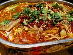 -食鸡公社辣子鸡·潍坊菜·烧烤