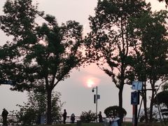 -放鹰台遗址