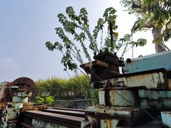 -广东紫坭糖厂(桥头路)