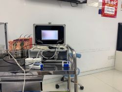 -派恩宜灰指甲鸡眼嵌甲手足癣