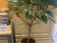 -妈妈菜舟山海鲜(定海古城店)