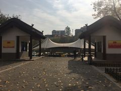 -莲湖公园