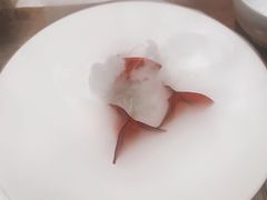 -觀芷隐轩