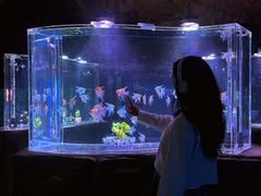 -南昌融创海世界