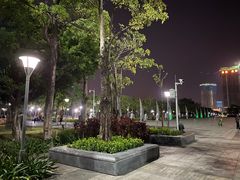 -大亚湾红树林城市湿地公园