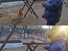 -春风习习