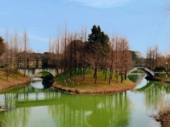 -尚贤河湿地