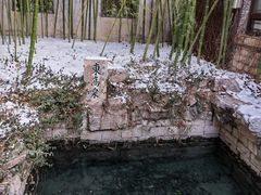 -趵突泉景区