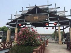 -荷塘月色湿地公园·向阳花洲