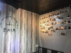 -Park Salon脏辫羽毛接发