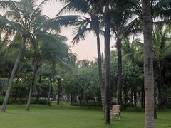 -三亚海棠湾仁恒皇冠假日酒店·大堂吧