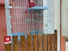 -酷狗靓猫宠物·洗护·美容·寄养(航北路店)