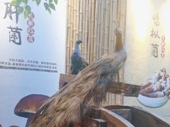 -大理董·董家小厨野生菌火锅(古城旗舰店)