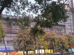 -一记洛阳菜·糖醋小排·水席(十字街店)