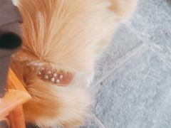-八木轩·寻味大理白族民俗餐厅(文献路店)