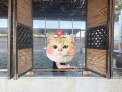 -春晖园度假酒店温泉