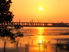 -宝安西湾红树林湿地公园