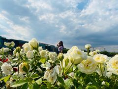 -廊坊文化艺术中心