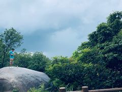 -火炉山森林公园