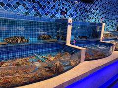 水产区-乔哥铭洋海鲜自助(皇城恒隆广场店)