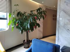 -柏乐口腔医院·舒适化无痛种植牙中心(东盟商务区院)