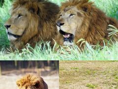 -杭州野生动物世界