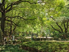 -上海交通大学医学院附属瑞金医院(总院)