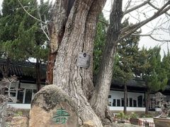 -苏州文庙(姑苏区)