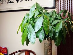 -常仁健康·经络推拿·按摩艾灸养生馆(长宁路店)