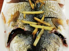 蒸汽蒸野生七星鱼-船奇蒸汽海鲜·闽菜(八市海鲜总店)