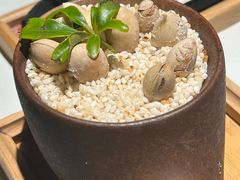 -上井料理黑金店(IFS国金中心店)