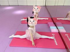 -芭芭拉小天使国际舞蹈(珠江新城校区)