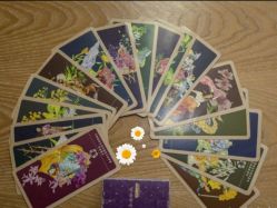 点击看大图 -芳香乐府疗愈空间·SPA·冥想