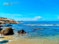 -广东惠东海龟国家级自然保护区