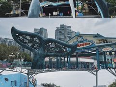 -海合安成都极地海洋公园