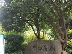 -柳侯公园