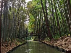 -同里国家湿地公园