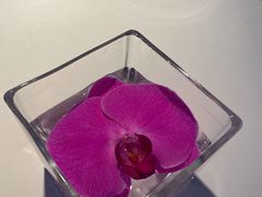 -茉里观邸(民国洋楼店)