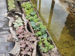-炊烟餐厅