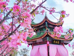 -宝墨园景区