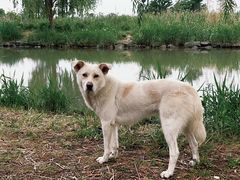 -广富林郊野公园