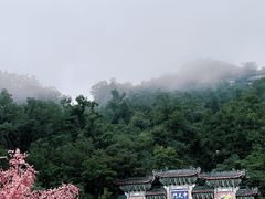 -老君山风景名胜区